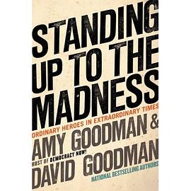 Standing Up to the Madness pdf epub mobi 电子书 下载