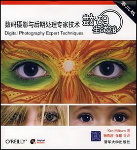 数码摄影与后期处理专家技术 pdf epub mobi 电子书 下载