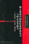 做大做强中国保险业整体实力与核心竞争能力 pdf epub mobi 电子书 下载