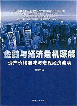 金融与经济危机深解资产价格泡沫与宏观经济波动 pdf epub mobi 电子书 下载