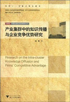 产业集群中的知识传播与企业竞争优势研究 pdf epub mobi 下载