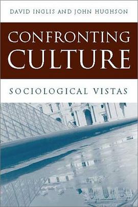 Confronting Culture pdf epub mobi 电子书 下载