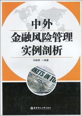 中外金融风险管理实例剖析 pdf epub mobi 电子书 下载