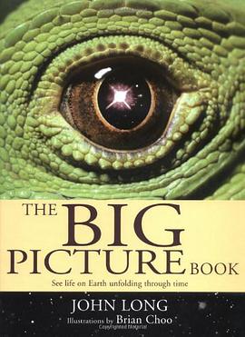 The Big Picture Book pdf epub mobi 电子书 下载