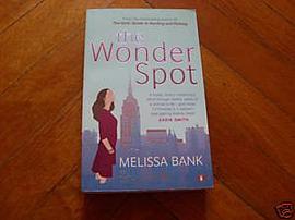 The Wonder Spot 惊奇点 pdf epub mobi 下载