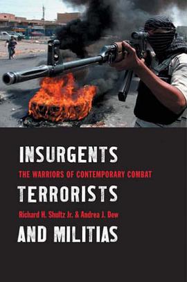Insurgents, Terrorists, and Militias