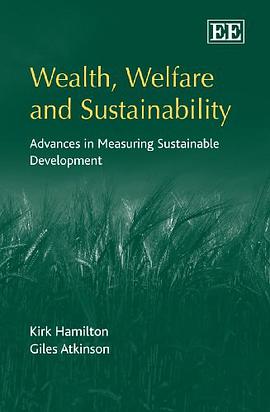 Wealth, Welfare and Sustainability pdf epub mobi 電子書 下載