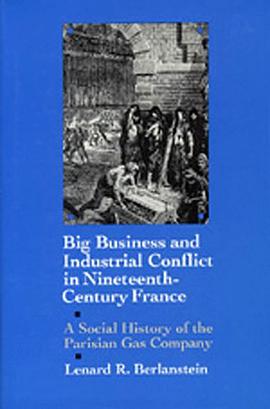 Big Business and Industrial Conflict in Nineteenth-Century France pdf epub mobi 电子书 下载