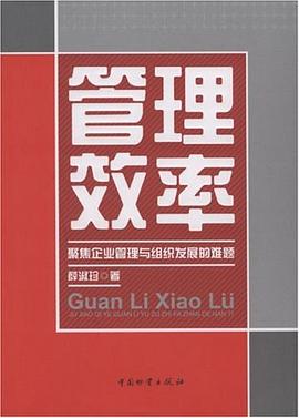 管理效率 pdf epub mobi 电子书 下载