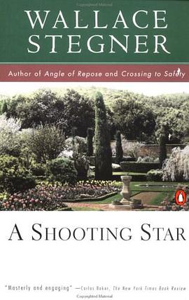 A Shooting Star pdf epub mobi 电子书 下载