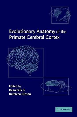 Evolutionary Anatomy of the Primate Cerebral Cortex pdf epub mobi 电子书 下载