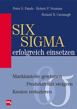 Six Sigma erfolgreich einsetzen. pdf epub mobi 电子书 下载