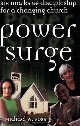 Power Surge pdf epub mobi 电子书 下载