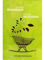 Bunny Modern: A Novel pdf epub mobi 电子书 下载