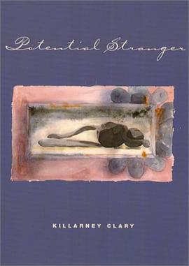 Potential Stranger (Phoenix Poets Series) pdf epub mobi 电子书 下载