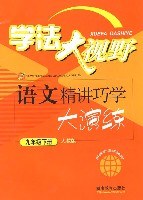 学法大视野：语文精讲巧学大演练（九年级下册人教版） (平装) pdf epub mobi 电子书 下载