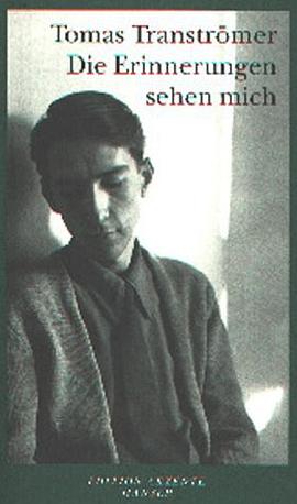 Die Erinnerungen sehen mich pdf epub mobi 电子书 下载