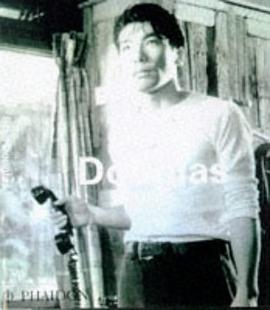 Stan Douglas pdf epub mobi 电子书 下载