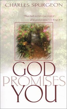 God Promises You pdf epub mobi 电子书 下载
