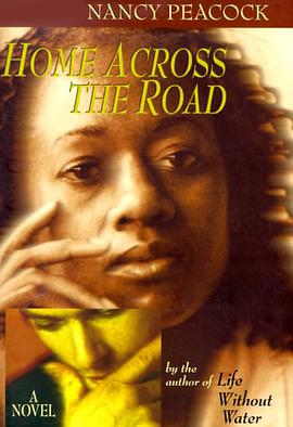 Home across the Road pdf epub mobi 电子书 下载