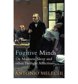 FUGITIVE MINDS: ON MADNESS, SLEEP AND O.R TWILIGHT AFFLICTIONS pdf epub mobi 下载