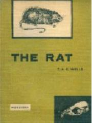 THE RAT pdf epub mobi 电子书 下载