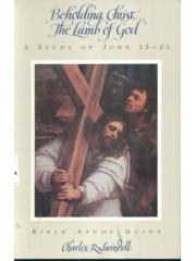 Beholding Christ-- the lamb of God: A study of John 15-21 Bible study guide pdf epub mobi 电子书 下载
