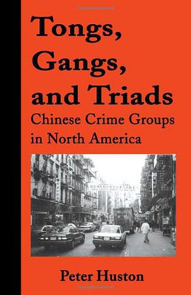 Tongs, Gangs, and Triads pdf epub mobi 电子书 下载
