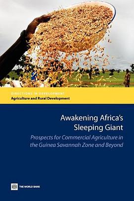 Awakening Africa's Sleeping Giant pdf epub mobi 电子书 下载