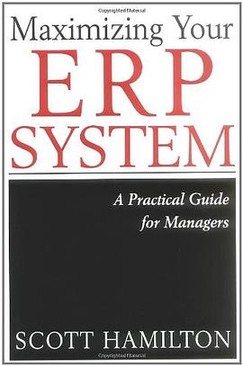 Maximizing Your ERP System pdf epub mobi 电子书 下载