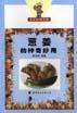 蜂蜜的神奇妙用 pdf epub mobi 电子书 下载