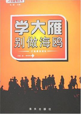 学大雁别做海鸥-打造最佳团队 pdf epub mobi 下载