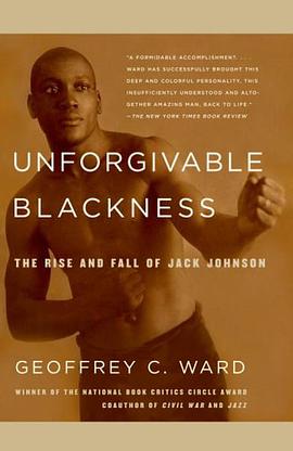 Unforgivable Blackness pdf epub mobi 电子书 下载