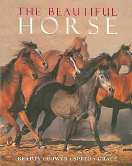 The Beautiful Horse pdf epub mobi 电子书 下载