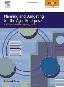 Planning and Budgeting for the Agile Enterprise pdf epub mobi 电子书 下载
