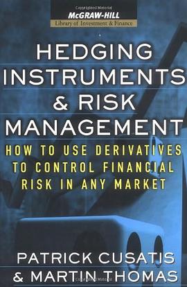 Hedging Instruments and Risk Management pdf epub mobi 电子书 下载