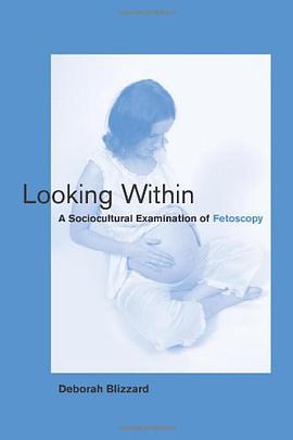 Looking within pdf epub mobi 电子书 下载