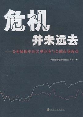 危机并未远去 pdf epub mobi 电子书 下载