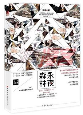 永夜森林 pdf epub mobi 电子书 下载