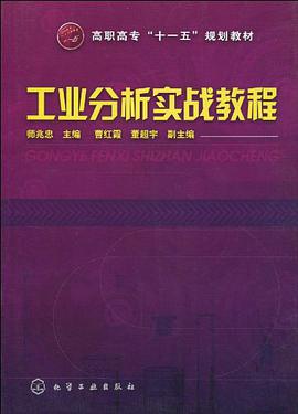 工业分析实战教程