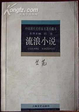 流浪小说