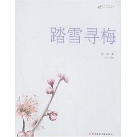 踏雪寻梅 pdf epub mobi 电子书 下载