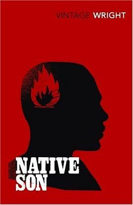 Native Son (Vintage Classics) pdf epub mobi 电子书 下载