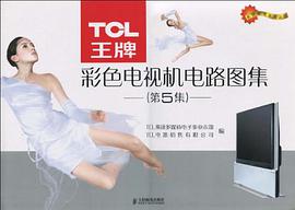 TCL王牌彩色电视机电路图集 pdf epub mobi 下载