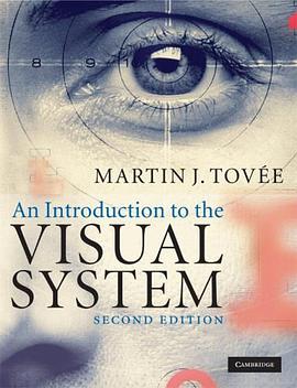 An Introduction to the Visual System pdf epub mobi 電子書 下載