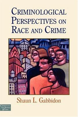 Criminological Perspectives on Race and Crime