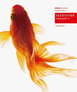 素材辞典イメ－ジブック〈１３〉 pdf epub mobi 电子书 下载