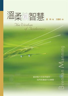 温柔的智慧 pdf epub mobi 电子书 下载