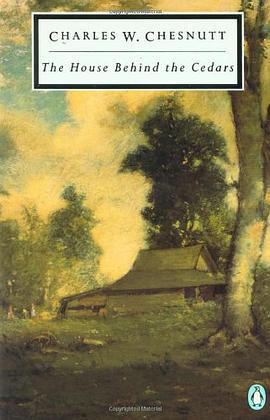 The House Behind the Cedars pdf epub mobi 电子书 下载