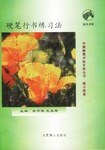 硬笔行书练习法 pdf epub mobi 电子书 下载